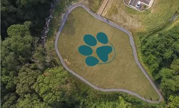 Large dog park